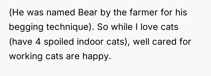(He was named Bear by the farmer for his begging...