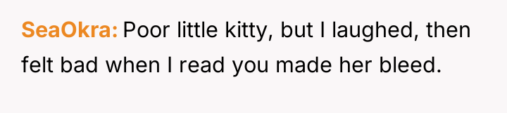 SeaOkra Poor little kitty, but I laughed, then felt bad...