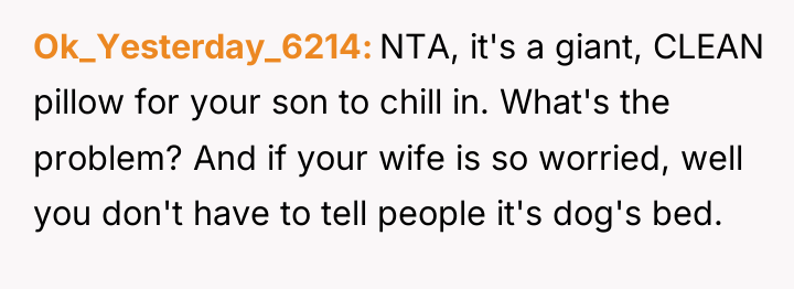 Ok_Yesterday_6214 NTA, it's a giant, CLEAN pillow for your son...