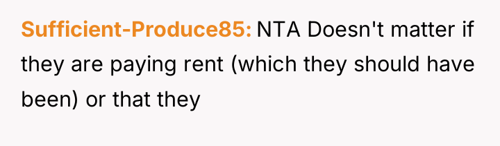 Sufficient-Produce85 NTA Doesn't matter if they are paying rent (which...