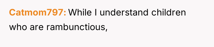 Catmom797 While I understand children who are rambunctious,
