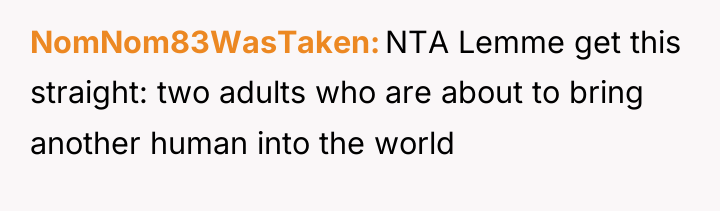 NomNom83WasTaken NTA Lemme get this straight: two adults who are...