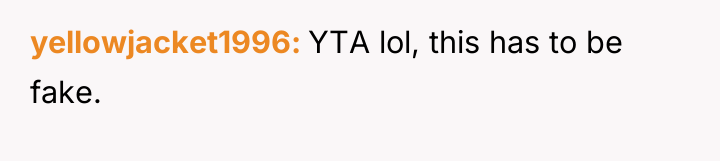 yellowjacket1996 YTA lol, this has to be fake.