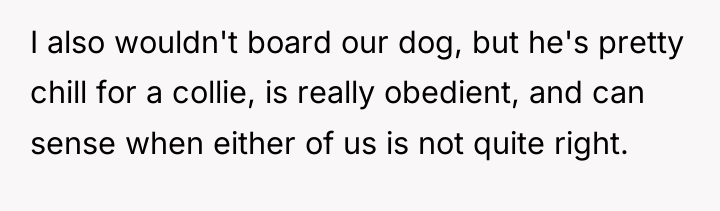 I also wouldn't board our dog, but he's pretty chill...