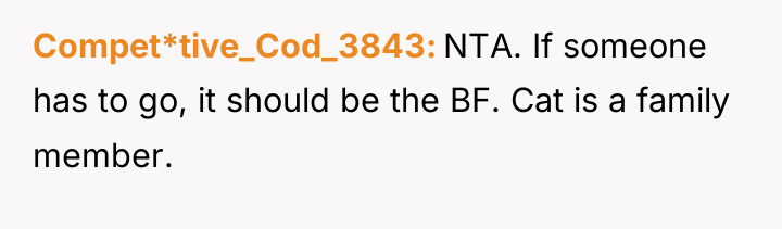 Compet*tive_Cod_3843 NTA. If someone has to go, it should be...