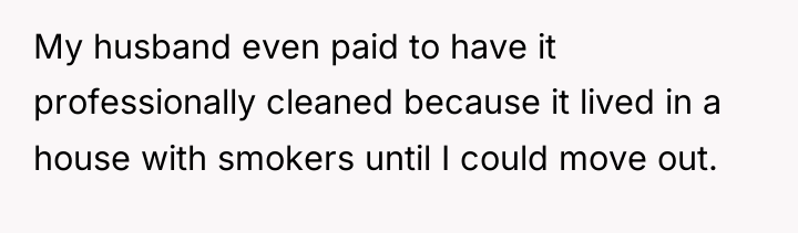 My husband even paid to have it professionally cleaned because...