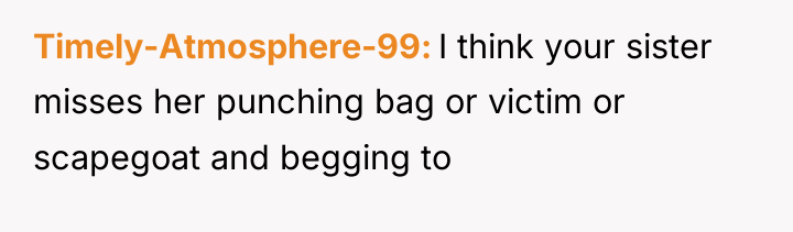 Timely-Atmosphere-99 I think your sister misses her punching bag or...