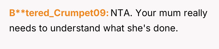 B**tered_Crumpet09 NTA. Your mum really needs to understand what she's...