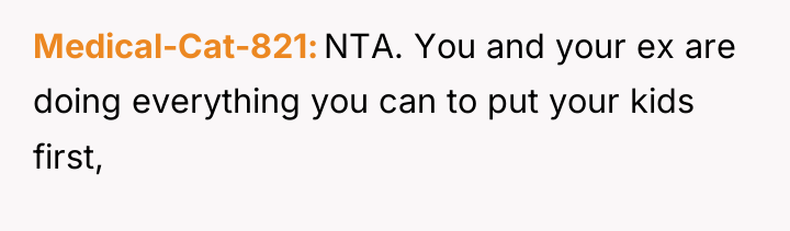 Medical-Cat-821 NTA. You and your ex are doing everything you...