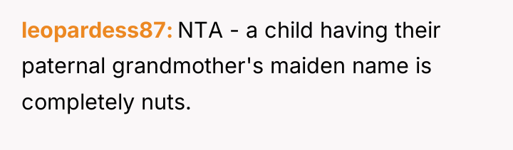leopardess87 NTA - a child having their paternal grandmother's maiden...