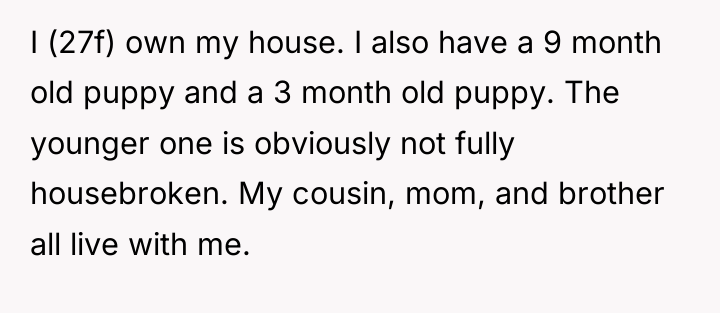 I (27f) own my house. I also have a 9...