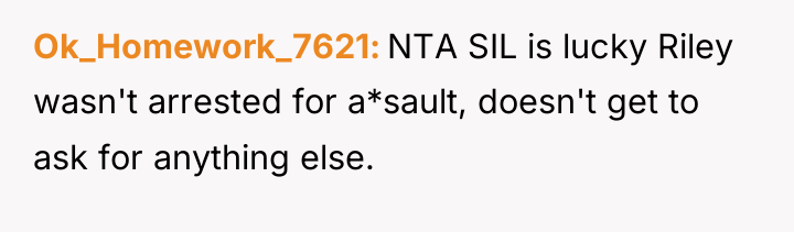 Ok_Homework_7621 NTA SIL is lucky Riley wasn't arrested for a*sault,...