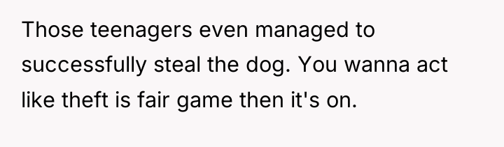 Those teenagers even managed to successfully steal the dog. You...