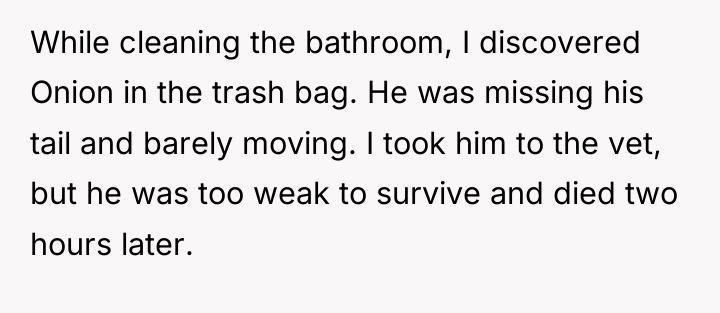 While cleaning the bathroom, I discovered Onion in the trash...