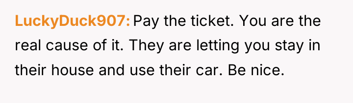 LuckyDuck907 Pay the ticket. You are the real cause of...