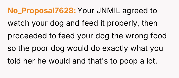 No_Proposal7628 Your JNMIL agreed to watch your dog and feed...