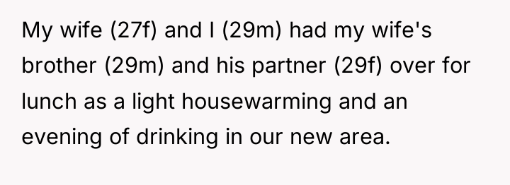My wife (27f) and I (29m) had my wife's brother...