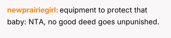 newprairiegirl equipment to protect that baby: NTA, no good deed...