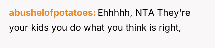abushelofpotatoes Ehhhhh, NTA They're your kids you do what you...