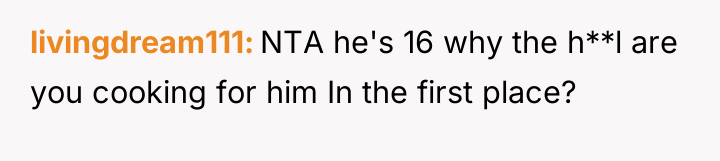 livingdream111 NTA he's 16 why the h**l are you cooking...