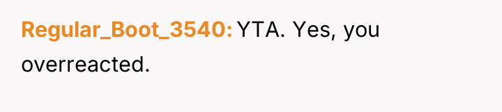Regular_Boot_3540 YTA. Yes, you overreacted.