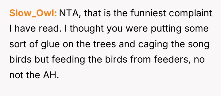 Slow_Owl NTA, that is the funniest complaint I have read....