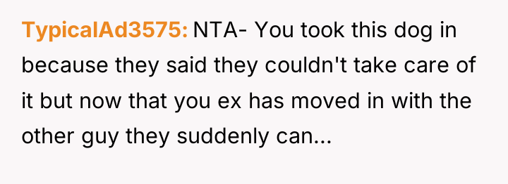 TypicalAd3575 NTA- You took this dog in because they said...