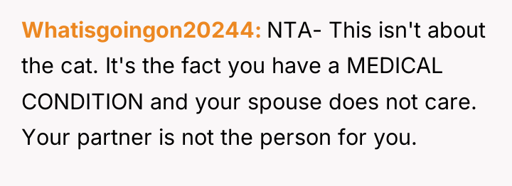 Whatisgoingon20244 NTA- This isn't about the cat. It's the fact...