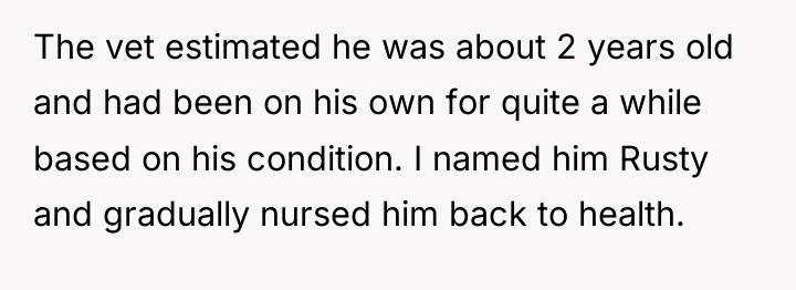 The vet estimated he was about 2 years old and...