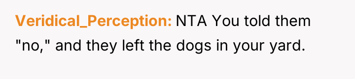 Veridical_Perception NTA You told them "no," and they left the...