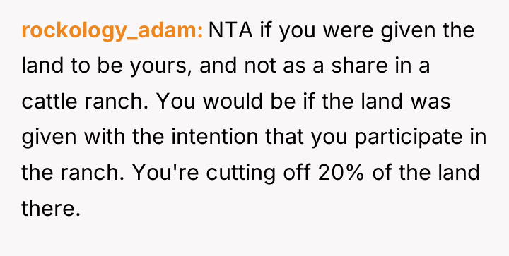 rockology_adam NTA if you were given the land to be...