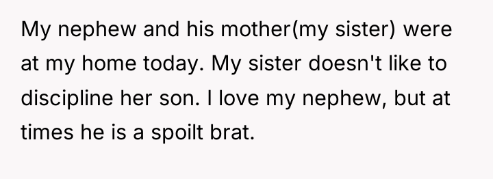 My nephew and his mother(my sister) were at my home...