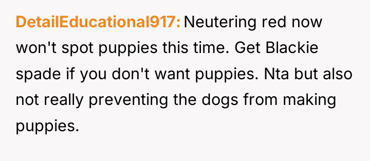 DetailEducational917 Neutering red now won't spot puppies this time. Get...