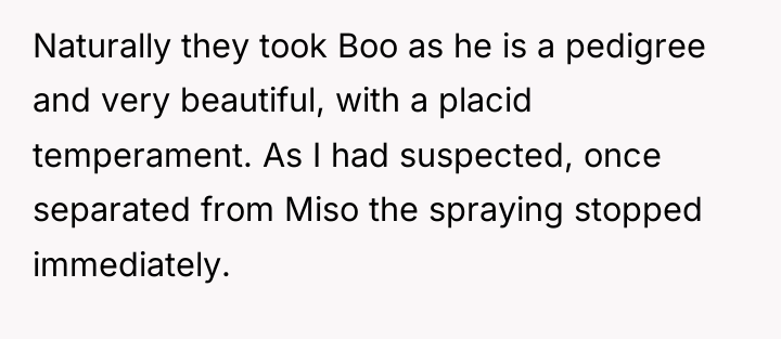 Naturally they took Boo as he is a pedigree and...