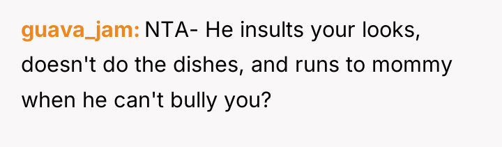 guava_jam NTA- He insults your looks, doesn't do the dishes,...