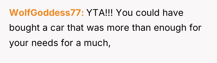 WolfGoddess77 YTA!!! You could have bought a car that was...