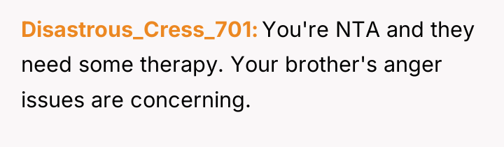 Disastrous_Cress_701 You're NTA and they need some therapy. Your brother's...