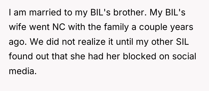 I am married to my BIL's brother. My BIL's wife...