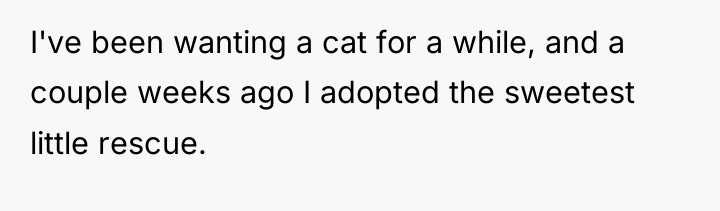 I've been wanting a cat for a while, and a...