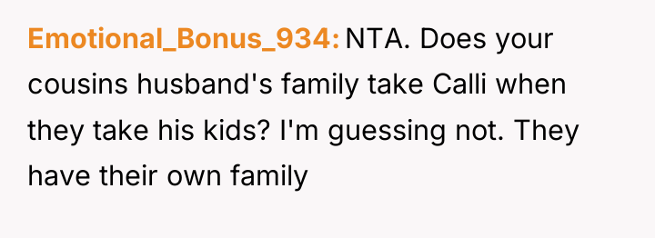 Emotional_Bonus_934 NTA. Does your cousins husband's family take Calli when...