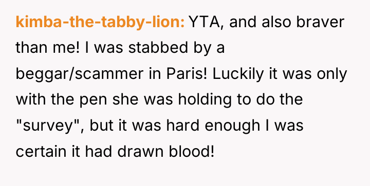 kimba-the-tabby-lion YTA, and also braver than me! I was stabbed...