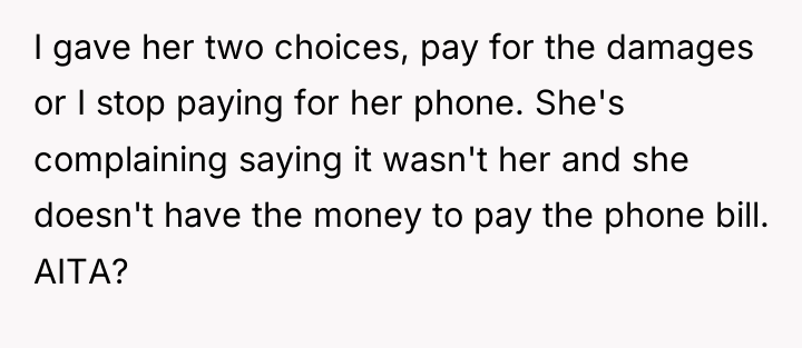 I gave her two choices, pay for the damages or...