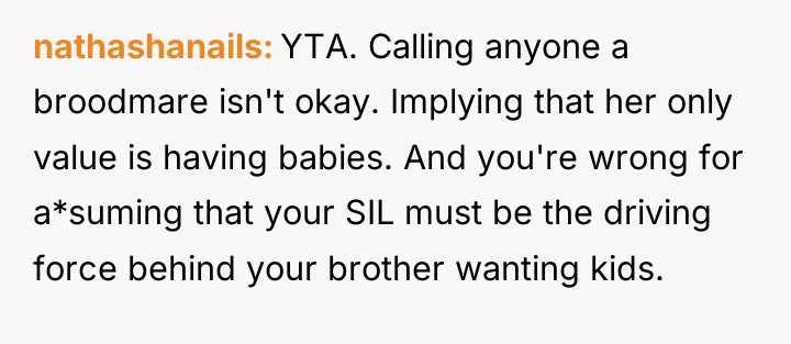 nathashanails YTA. Calling anyone a broodmare isn't okay. Implying that...