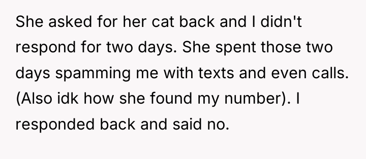 She asked for her cat back and I didn't respond...