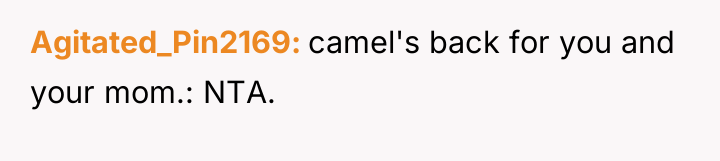 Agitated_Pin2169 camel's back for you and your mom.: NTA.