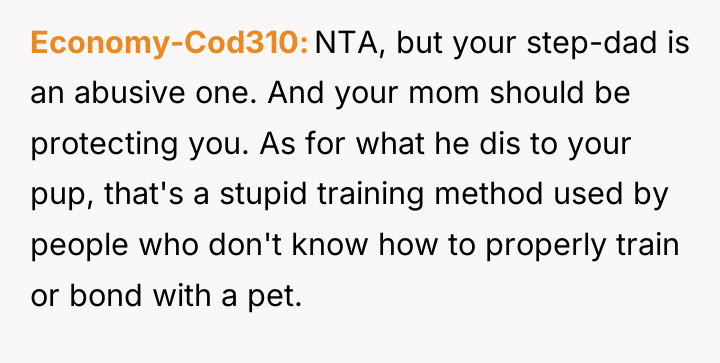 Economy-Cod310 NTA, but your step-dad is an abusive one. And...