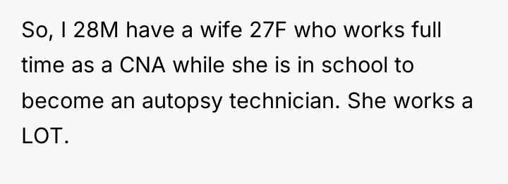 So, I 28M have a wife 27F who works full...