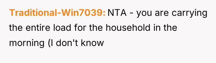 Traditional-Win7039 NTA - you are carrying the entire load for...