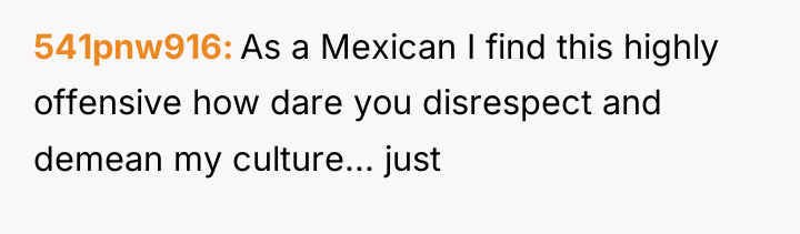 541pnw916 As a Mexican I find this highly offensive how...