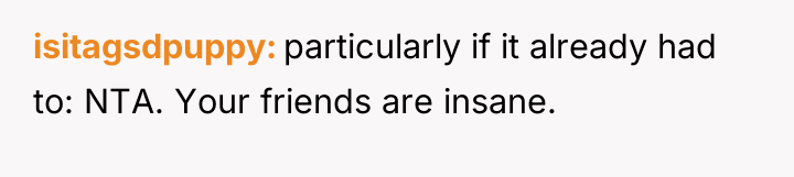 isitagsdpuppy particularly if it already had to: NTA. Your friends...